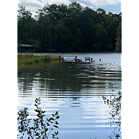 King tide image
